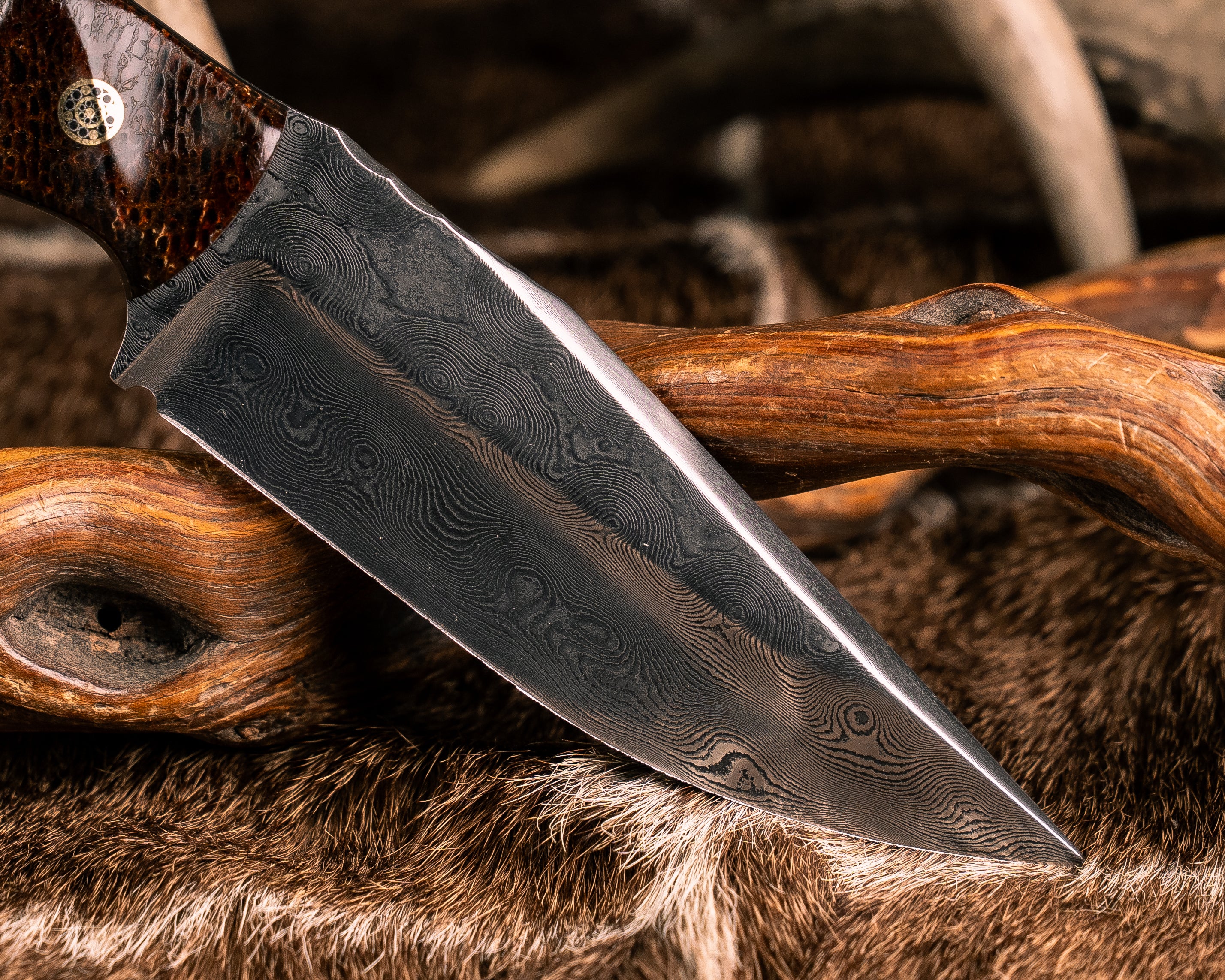 Limited – Half Face Blades