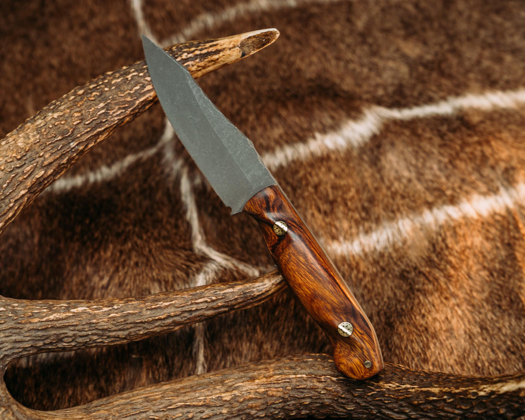 Field Knife Jr - Desert Ironwood, Mosaic Pins, 1/8" Brass Pin, Contoured Grip