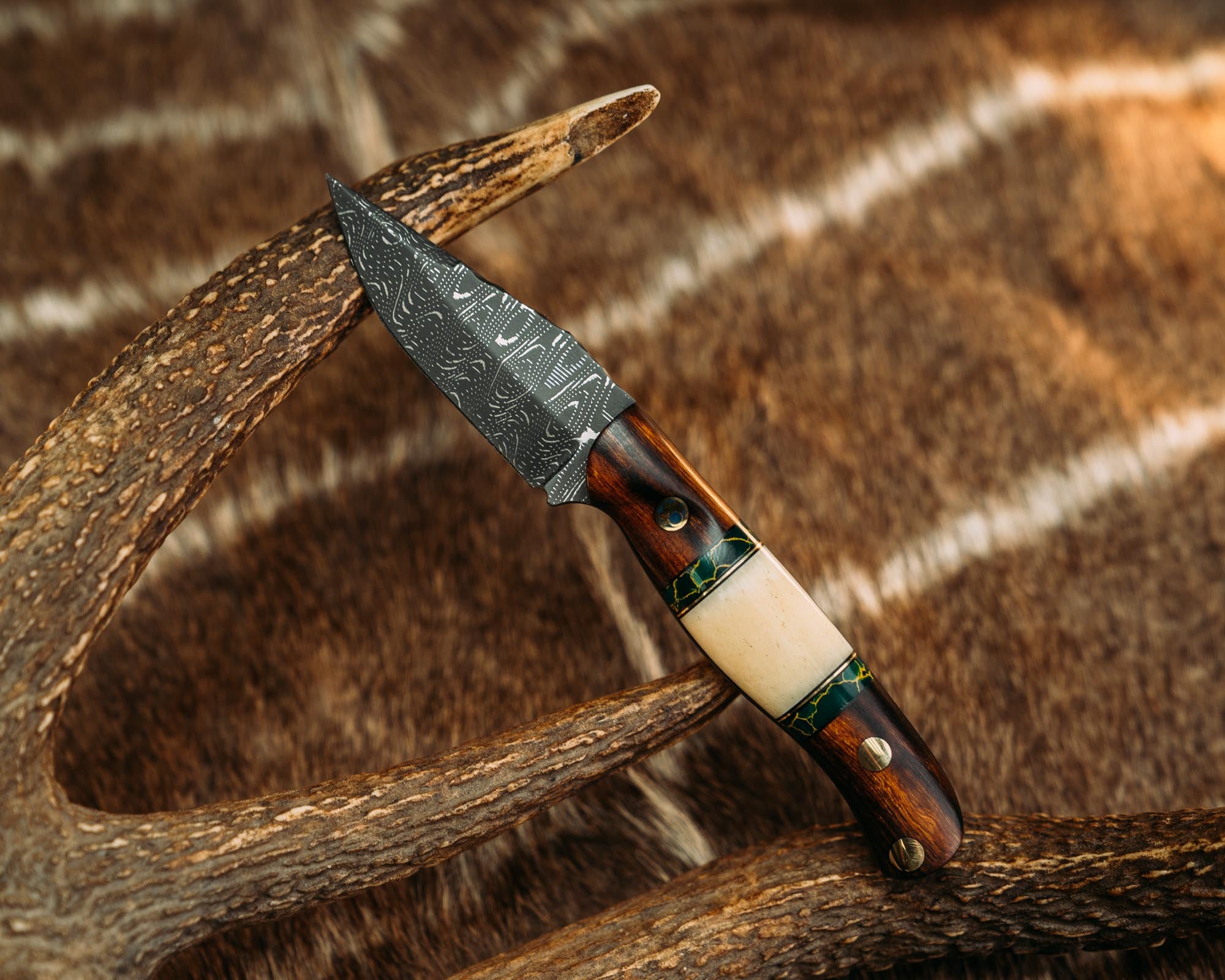 その他 FaB Flick Knives CF FX-604-MFG.jpg