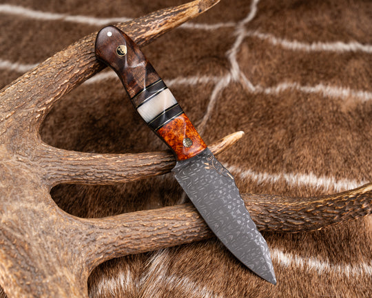 Field Knife - Vegas Forge Razorwire Damascus - Amboyna Burl, Black G10 and Brass Pin Striping, Hawaiian Curly Koa and Rams Horn Split, Hawiian Curly Koa, Mosaic Pin, Half Face Mosaic Pin, 1/8" Brass Pin, Textured Grip