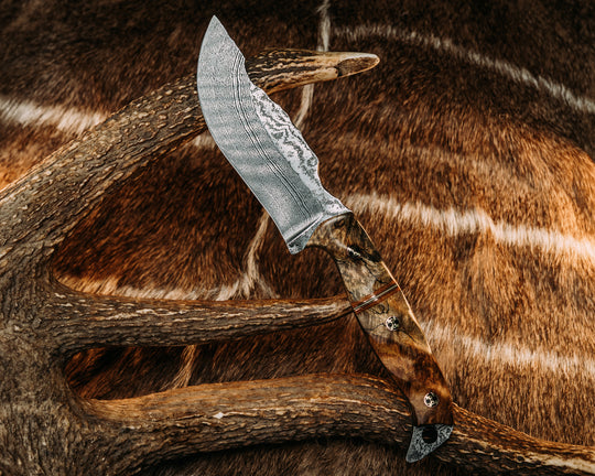 OG Skinner- Baker Forge Wavy Pattern Damascus- Spalted Amboyna, Natural Canvas Micarta, Copper, Grey G10 and White G10 Split, Mosaic Pins, Textured Grip