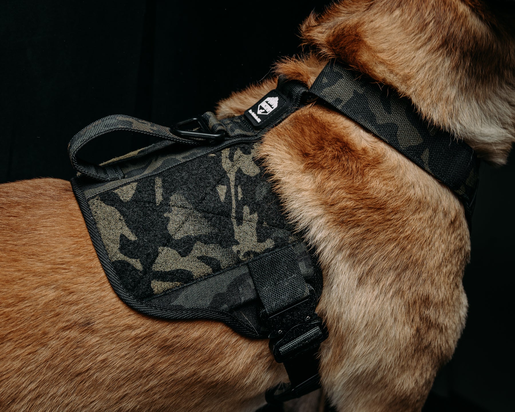 Tactipup x HFB - Black Mutli-Cam Tactical Dog Harness – Half Face