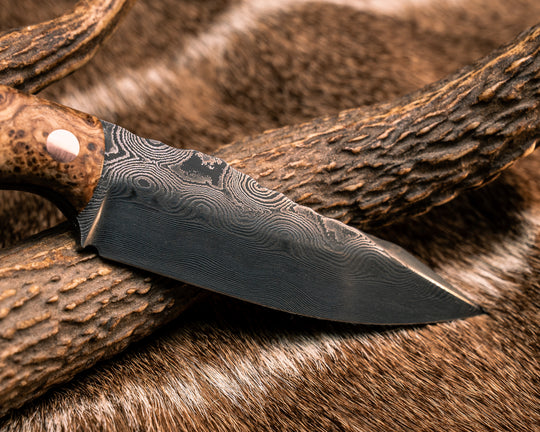 Field Knife Jr- Baker Forge Raindrop Damascus- Black Ash Burl, OD Green G10, Natural Micarta and Copper Split, Buckeye Burl, Copper Pins, Smooth Grip