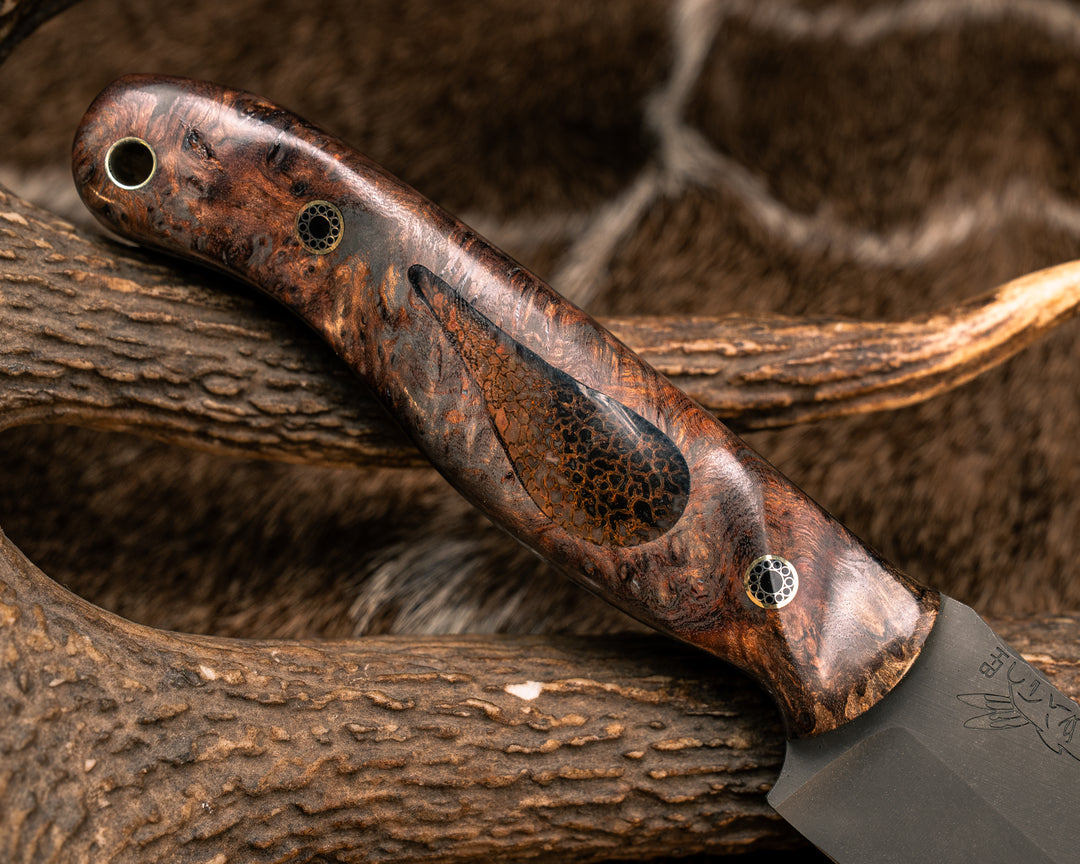 Crow Jr- Chechen Caribbean Rosewood, Dinosaur Bone Cabochon Inlay, Mosaic Pins, Brass Lanyard Pin, Textured Grip