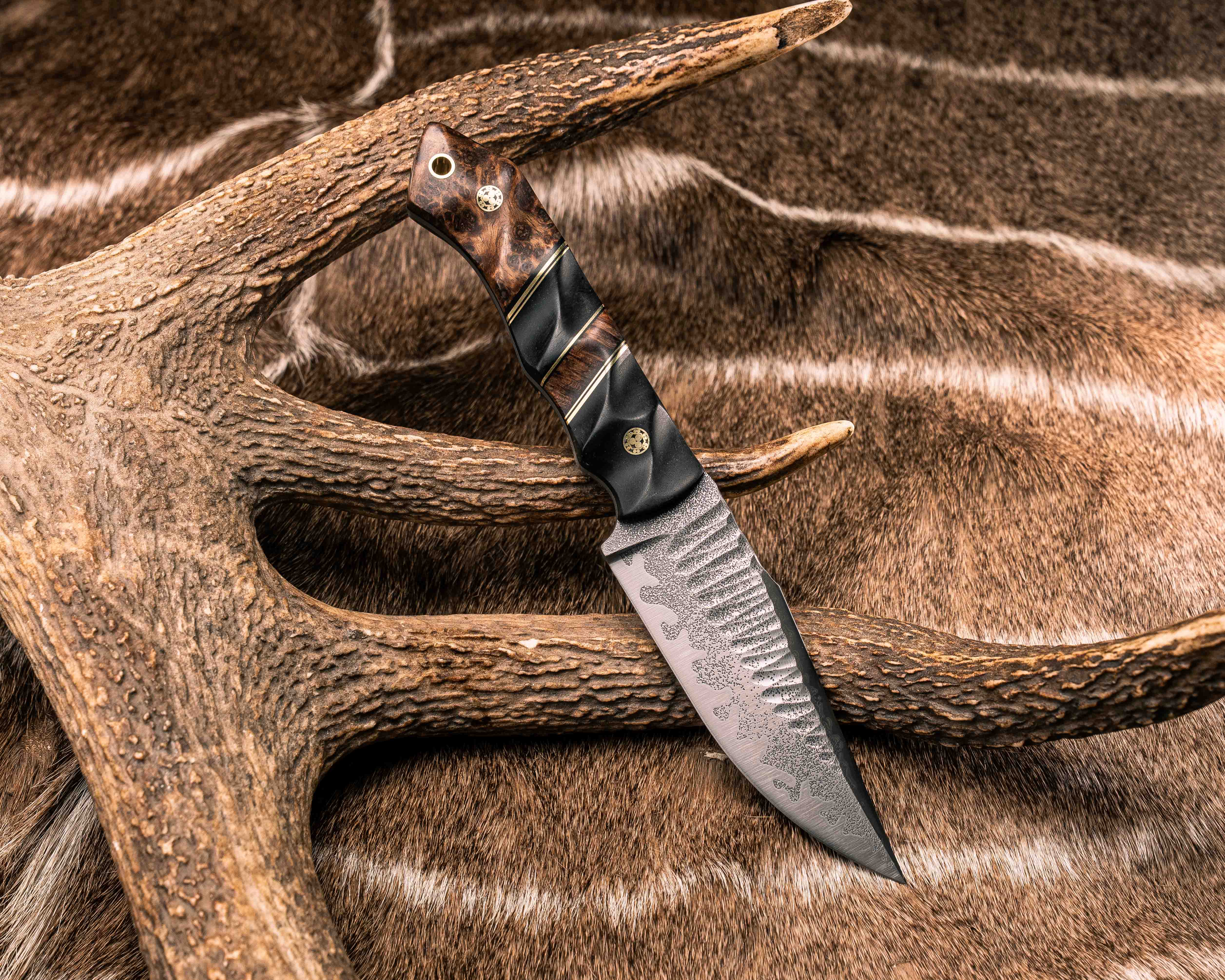 Limited – Page 2 – Half Face Blades