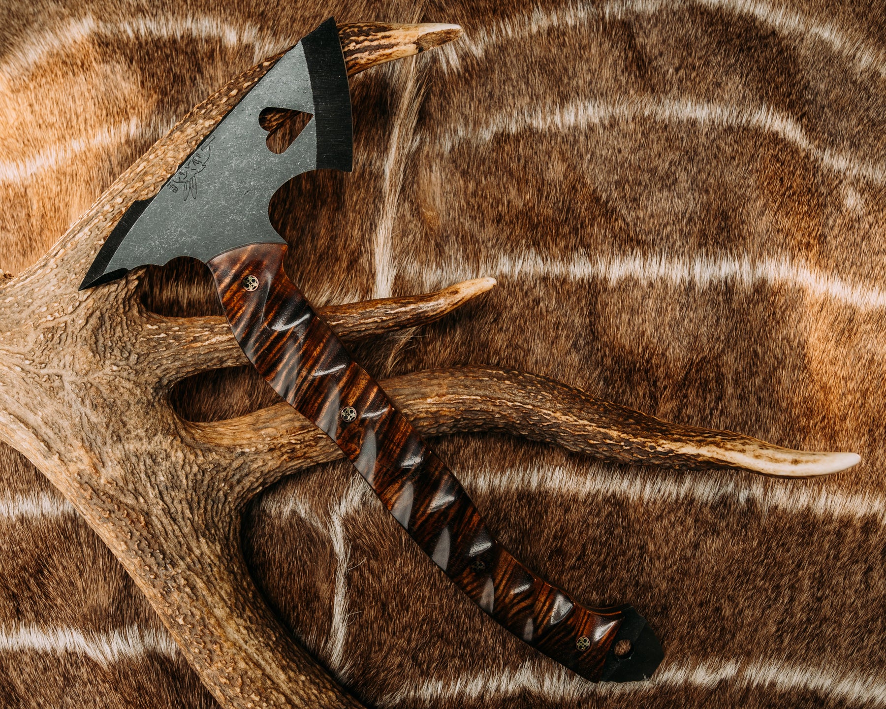 Bleeding Heart Hawk- Hawaiian Curly Koa, Mosaic Pins, Textured