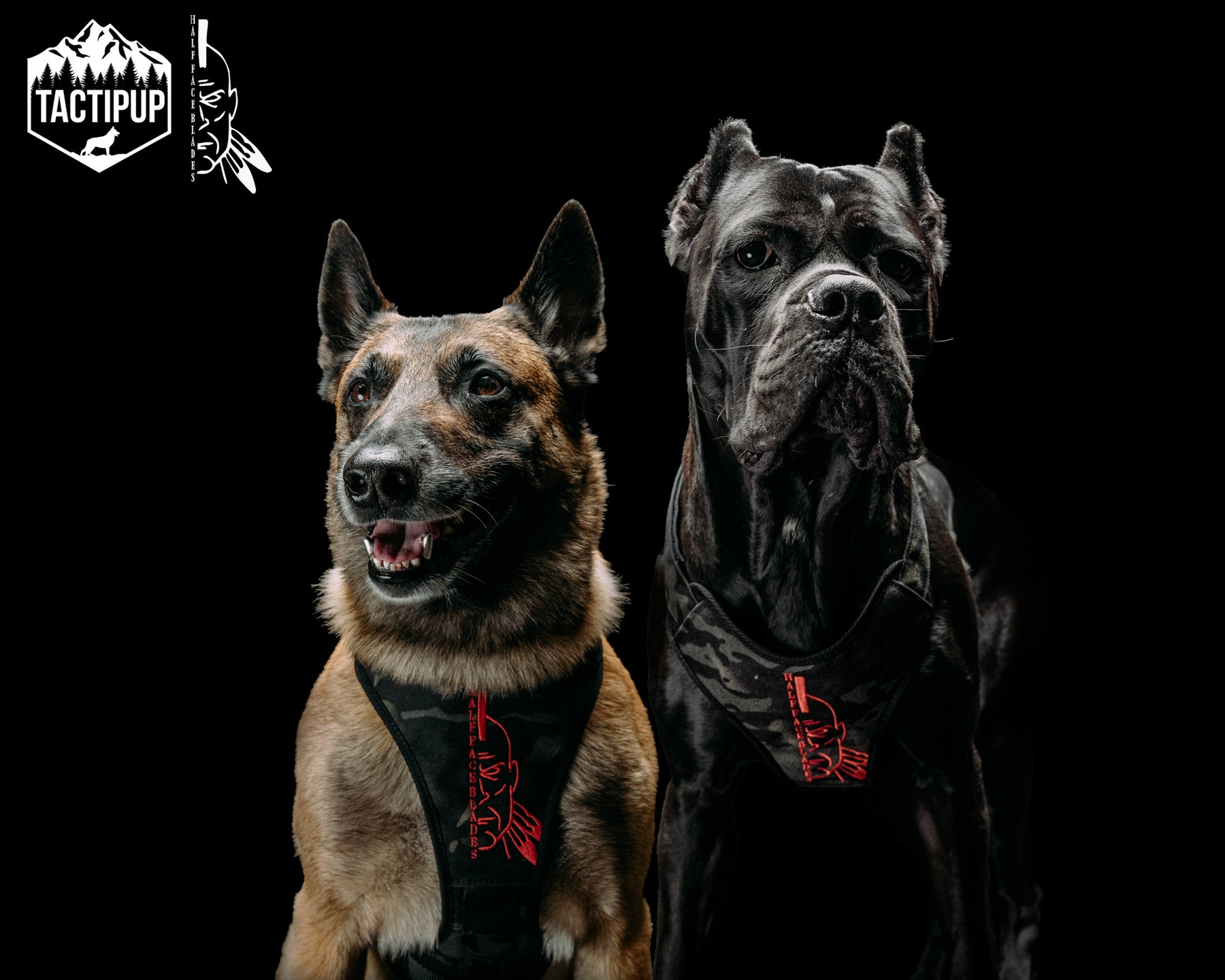444.dogs専用 Tactipup x HFB - Black Mutli-Cam Tactical Dog Harness – Half Face